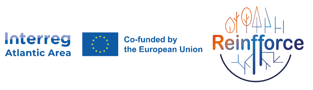 Interreg Reinfforce