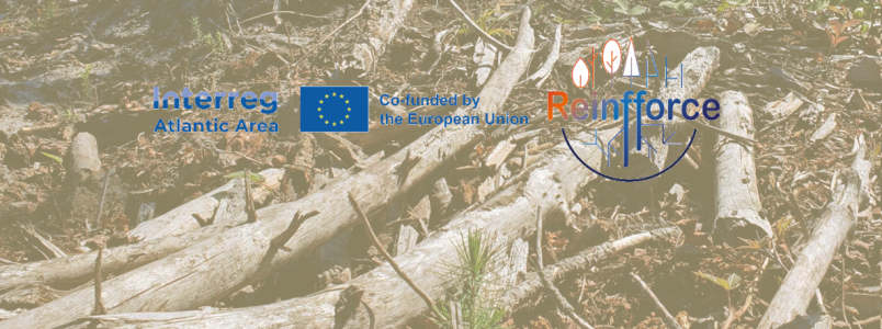 Interreg Reinfforce 2