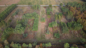petitedef_Castillonville_09nov23_0691.jpg