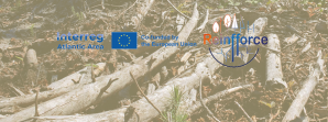 Interreg Reinfforce 2